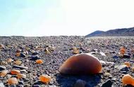新疆石头收藏季再度来临，16个地点的捡石指南！