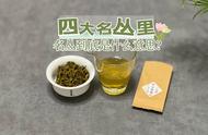 岩茶的“名丛”是什么？水仙、肉桂、大红袍都算吗？