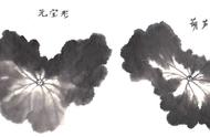 荷花国画教程：从没骨法到勾填法，画出最美的荷花