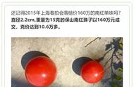 南红珠价值160万，珠宝投资新风向标