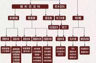 从“XX花梨木”到学名，一场红木知识之旅