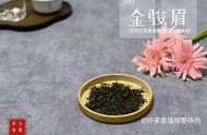 金骏眉茶饮文化之旅