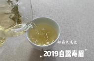 寿眉散茶与饼茶制作技艺及品鉴指南