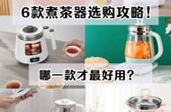 煮茶器实用测评报告全解析