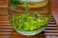 探索茶圣之路：从上虞觉农翠茗开始