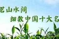 中国十大名茶大全：一览茶叶的千姿百态