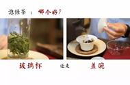 专家解读：盖碗与玻璃杯泡绿茶的差异分析