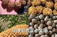 金刚菩提新手引导：快速掌握要点