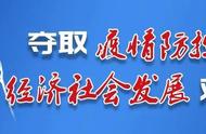 奇石书画遇上美食盛宴，博乐市首届文化节精彩纷呈