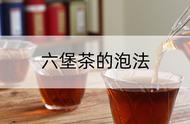 冲泡六堡茶的诀窍与禁忌，你get了吗？