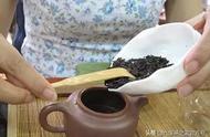 传统六堡茶冲泡教程：投茶量控制技巧大解析