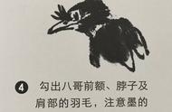 零基础学画：国画八哥实战教程