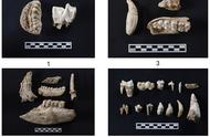 9000年前的玉文化起源：十大考古新发现的全新解读