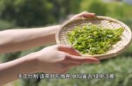 黄山毛峰：品味中国传统名茶的艺术