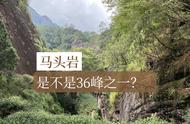 武夷山的茶叶种植：三十六峰、七十二洞、九十九岩的揭秘