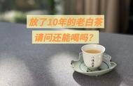 白茶的保质期是多久？存放了10年以上的白茶还能喝吗？