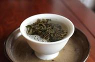 普洱茶：饼茶还是散茶，你更倾向于哪一种？