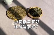 白茶收藏：散茶与饼茶，哪个更具投资潜力？