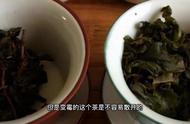 金花茶与发霉茶：茯砖茶的鉴别秘籍