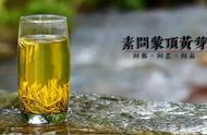 何春雷揭示：蒙顶黄芽的消脂降血糖效果，今天你尝试了吗？