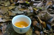 普洱茶的春茶、秋茶和夏茶，哪个更值得一试？