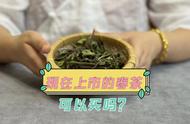 春茶上市时间的不一致性：为何有的在3月，有的在5月？