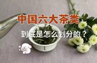 中国六大茶类的真相：大红袍与铁观音的误导