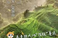 蒙顶山：春天的气息在大地上的指纹中蔓延开来