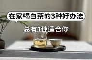 白茶爱好者的福音：三种宅家喝茶的方式分享给你