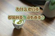 卖老白茶的店家中，九家都是秋茶，春白茶是否适合长期保存？