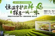 春茶保存指南：教你几个方法，轻松留住茶叶香气