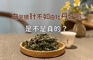 白毫银针和白牡丹，哪个更值得尝试？