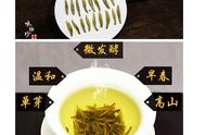 六大茶类深度剖析：名优黄茶的独特魅力