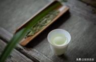 行家分享：夏天喝红茶和绿茶的科学解读