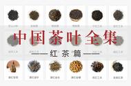 中国红茶全揭秘：37款名茶的独特之处