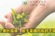 台湾高山茶春茶与冬茶：探寻茶叶的秘密！#茶叶知识