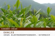 君山银针：黄茶冲泡的艺术，一种全新的茶艺体验