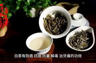 科普揭秘：花茶、白茶、乌龙茶与紧压茶的独特魅力