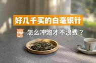 几千元的白毫银针如何冲泡才能不浪费？老茶客分享5个实用技巧