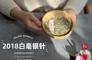 走进白茶的世界：春茶季中的种茶、采茶、制茶与卖茶