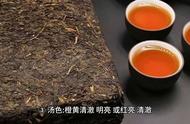 黑茶专业审评术语：详尽解读