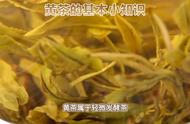 黄茶小知识：你可能不知道的茶叶世界