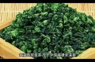 安溪铁观音：中国十大名茶中的一种独特风味