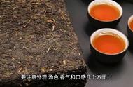 如何挑选优质的黑茶？购买前的实用建议