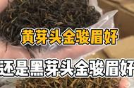 金骏眉黄芽和黑芽：4个决定口感的关键细节