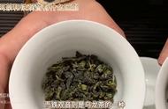 普洱茶与铁观音的全面比较：揭示两者之间的种类和口感差异