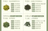 茶友们的福利：48种名优绿茶品种及图片对比