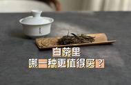 一次性说清楚：哪种白茶值得买？