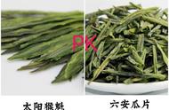 六安瓜片与太平猴魁茶的对比：哪款绿茶更适合你的需求？