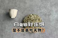 好茶是否真的不需要压饼？